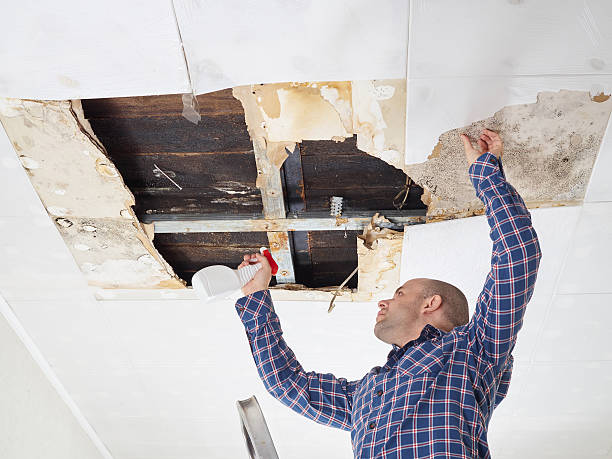 Best Environmental Consulting for Mold Prevention  in Tolar, TX